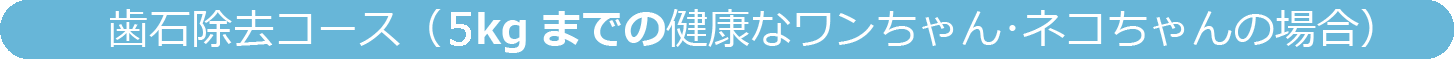 歯石除去コース(5kgまでの健康なワンちゃん・ネコちゃんの場合)