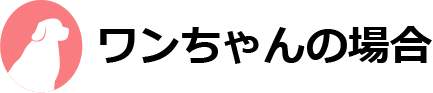 ワンちゃんの場合