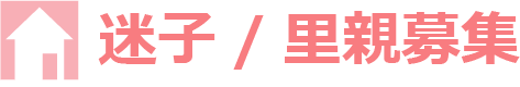 迷子/里親募集